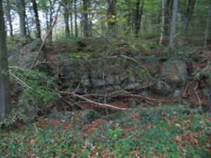 Sikringsstillingens batterier, Hyrup Skov