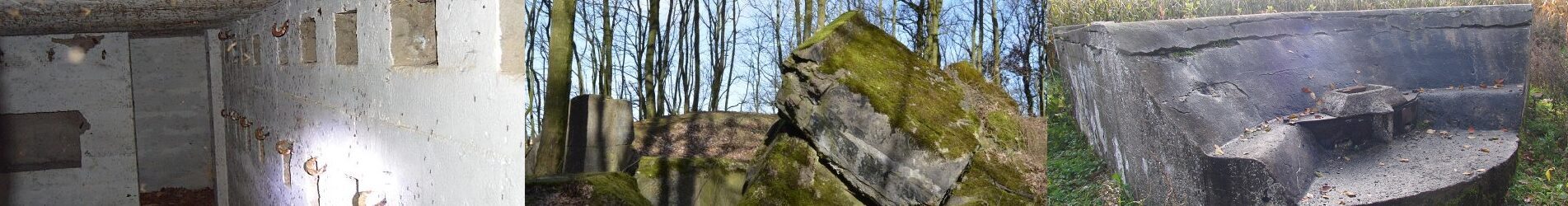 Sikringsstillingnord.dk