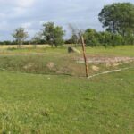 Halvdelingsbunker