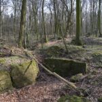 Batteriet Hyrup Skov batteriegraven