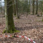 Hyrup Skov, rester af skyttegrav
