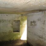 Bunkere i Kalby Plantage,