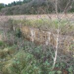 Vedbøl halvdelingsbunker